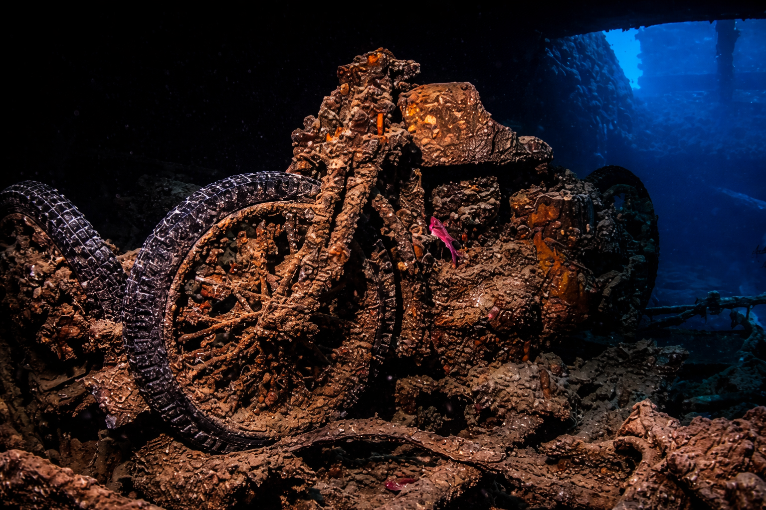 SS Thistlegorm