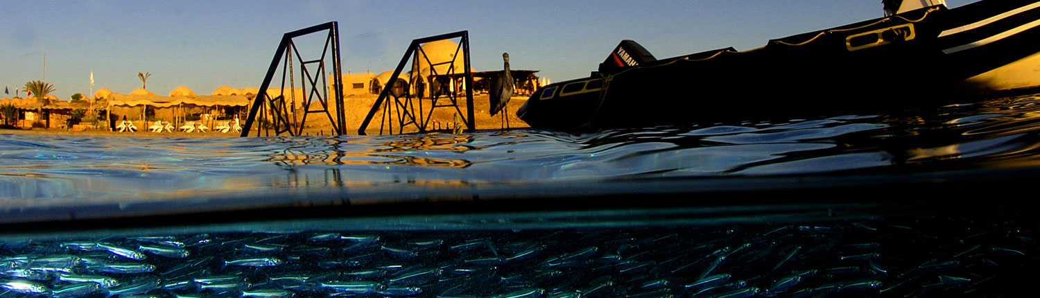Miejsca Nurkowe Marsa Alam