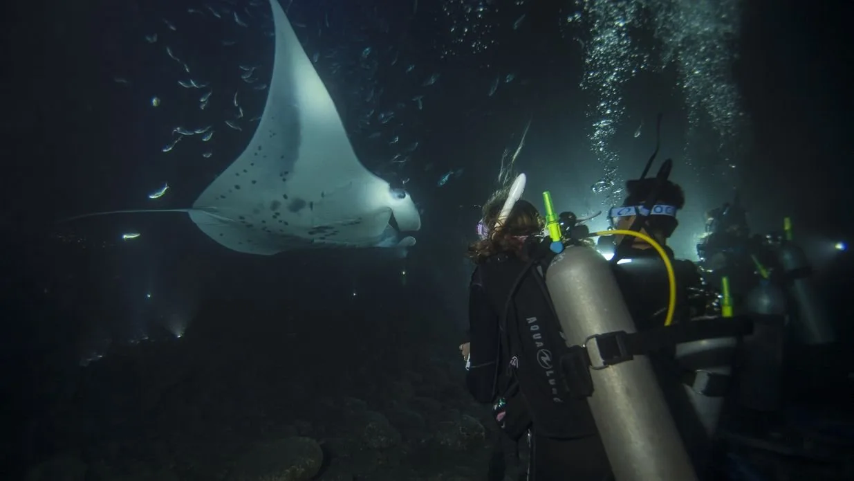PADI Night Diver Specialty